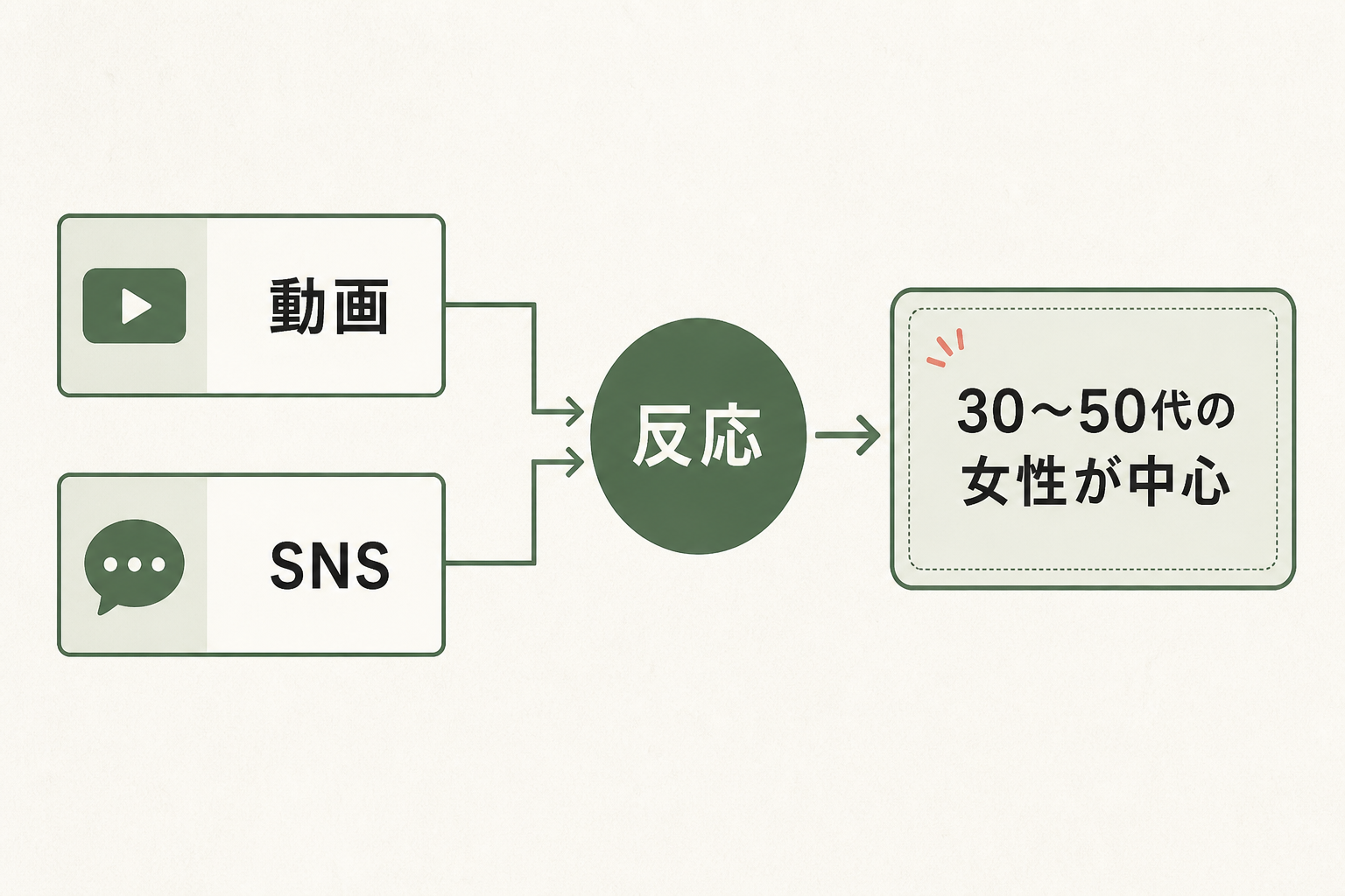 動画とSNSへの反応から30〜50代の女性が中心だと分かった流れ